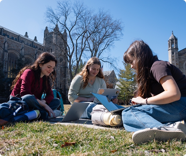 Students studying in the grass near the Law School